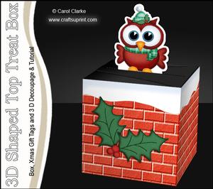 3D Xmas Little Hoot Owl Shaped Top Gift Box Mini Kit