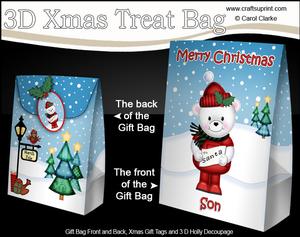 3D Xmas Son Teddy Ed Large Gift Bag Mini Kit