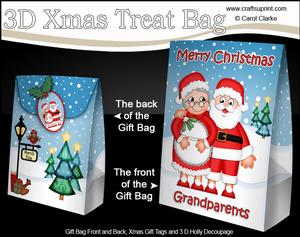 3D Xmas Grandparents Mr & Mrs Claus Large Gift Bag Mini Kit