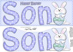 Large Dl Easter Son Bunny Boy Quick Card & 3D Decoupage