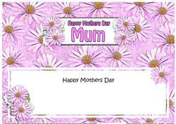 Mothers Day Mum Daisies Floral Large Dl Matching Insert