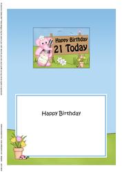 5x7 Lola Elephant Birthday 21 Today Matching Insert