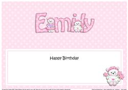 Birthday Emily Teddies Matching Large Dl Insert
