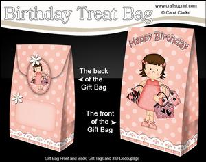 3D Girlz Suzi Goes Shopping Birthday Gift Bag Mini Kit