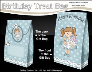 3D Girlz Liz's Flowers Birthday Gift Bag Mini Kit
