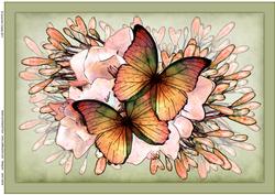 A4 Butterflies N Flowers Card Topper