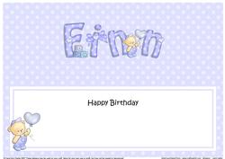 Birthday Finn Teddies Matching Large Dl Insert