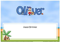 Pirates Birthday Oliver Large Dl Matching Large Dl Insert