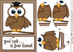 A5 Wise Owl Exam Good Luck Felties Oval Pyramage Topper