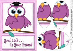 A5 Wise Owl Exam Good Luck Felties Oval Pyramage Topper