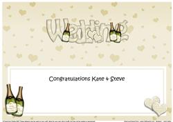 Kate & Steve Wedding Champagne Matching Large Dl Insert