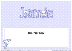 Birthday Jamie Teddies Matching Large Dl Insert