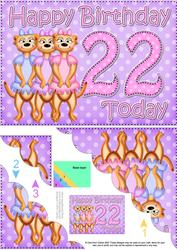5x7 22nd Birthday Meerkats Scallop Corner