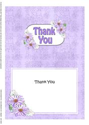 5x7 Thank You Daisies Matching Insert