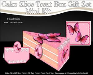 3D Pretty Butterflies Cake Slice Treat Box Gift Set Mini Kit