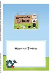 70th Birthday Bert Plays Bowls 5x7 Insert