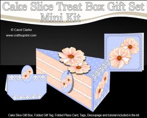 3D Pretty Floral Cake Slice Treat Box Gift Set Mini Kit