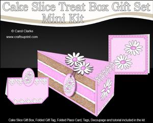 3D Pretty Daisy Cake Slice Treat Box Gift Set Mini Kit