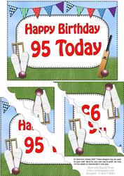 5x7 95th Birthday Cricket Scallop Corner