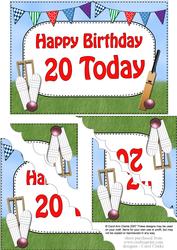 5x7 20th Birthday Cricket Scallop Corner