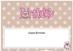 Birthday Owls Matching Large Dl Insert