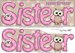 Large Dl Birthday Sister Owls Quick Card N 3D Decoupage
