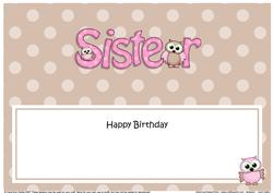 Birthday Owls Sister Matching Large Dl Insert