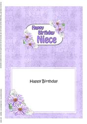 5x7 Birthday Niece Daisies Matching Insert