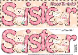Large Dl Birthday Sister Cat Card & 3D Decoupage