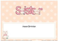 Birthday Sister Cat Large Dl Matching Insert