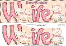 Large Dl Birthday Wife Cat Card & 3D Decoupage