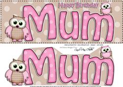 Large Dl Birthday Mum Owls Card & 3D Decoupage