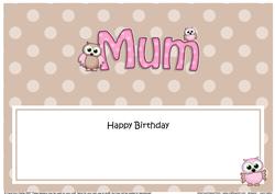 Birthday Mum Owls Large Dl Matching Insert