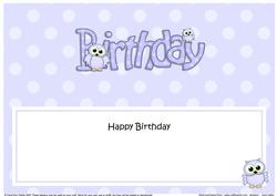 Birthday Owls Matching Large Dl Insert