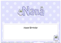 Birthday Nana Owls Matching Large Dl Insert