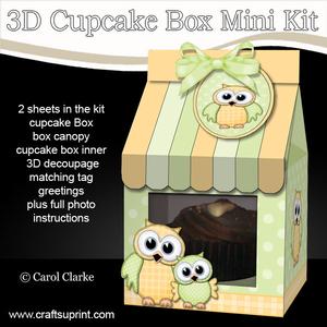 3D Cute Owls Carton Cupcake or Treat Box Mini Kit