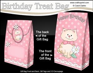 3D Cute Cat Birthday Gift Bag Mini Kit