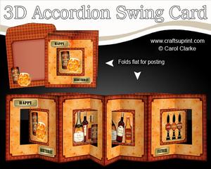3D at the Pub Accordion Swing Card