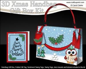 3D Little Hoot Owl Xmas Handbag Treat or Favour Box Kit