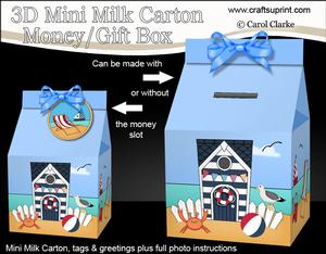3D Beach Hut Holiday Milk Carton Money or Treat Box Mini Kit