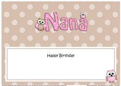 Birthday Nana Owls Matching Large Dl Insert
