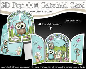 3D Hoot & Little Hoot Owls Pop Out Gatefold Card Kit