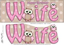 Large Dl Birthday Wife Owls Quick Card N 3D Decoupage