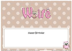 Birthday Wife Owls Matching Large Dl Insert