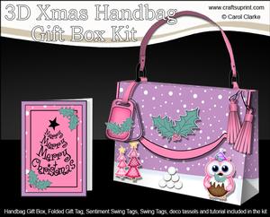 3D Little Hoot Owl Xmas Handbag Treat or Favour Box Kit