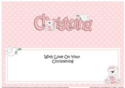 Large Dl Christening Teddy Matching Insert