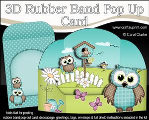 3D Owls Rubber Band Pop Up Scene Card