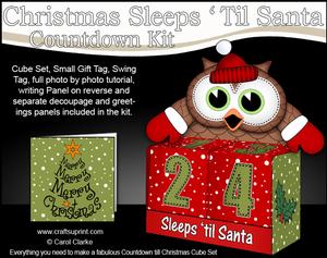 3D Hoot Owl Sleeps 'til Santa Countdown Cube Set 3D Decoupag