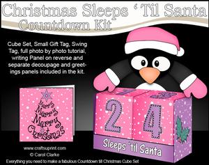 3D Penguin Sleeps 'til Santa Countdown Cube Set 3D Decoupage