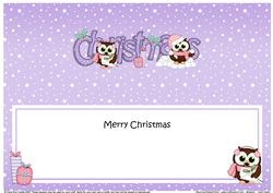Christmas Little Hoot Owls Matching Large Dl Insert